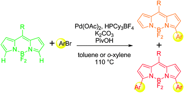 Graphical abstract: Direct palladium-catalysed C–H arylation of BODIPY dyes at the 3- and 3,5-positions