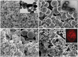 Graphical abstract: Lysozyme–silica hybrid materials: from nanoparticles to capsules and double emulsion mineral capsules
