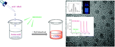 Graphical abstract: Amino acids as the source for producing carbon nanodots: microwave assisted one-step synthesis, intrinsic photoluminescence property and intense chemiluminescence enhancement