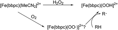 Graphical abstract: Observation of a ferric hydroperoxide complex during the non-heme iron catalysed oxidation of alkenes and alkanes by O2