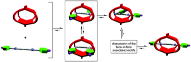 Graphical abstract: Observation of face-to-face host–guest associated states prior to threading of dialkylammonium ions into the DB24C8-like openings of a molecular cage