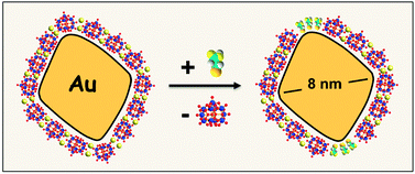 Graphical abstract: Regioselective placement of alkanethiolate domains on tetrahedral and octahedral gold nanocrystals