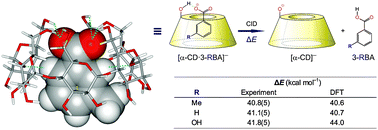 Graphical abstract: A quantitative study of intrinsic non-covalent interactions within complexes of α-cyclodextrin and benzoate derivatives