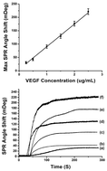 Graphical abstract: Real-time monitoring biomarker expression of carcinoma cells by surface plasmon resonance biosensors