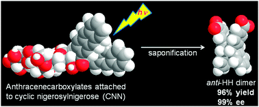 Graphical abstract: Strictly diastereocontrolled photocyclodimerization of 2-anthracenecarboxylates tethered to cyclic tetrasaccharides