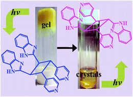 Graphical abstract: Does crystal or gel matter to stereochemistry of a reaction? Silver complexation-promoted solid-state [2+2] reaction of an unsymmetrical olefin