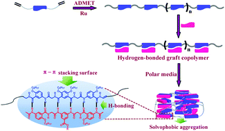 Graphical abstract: Supramolecular graft copolymers in moderately polar media based on hydrogen-bonded aromatic oligoamide units