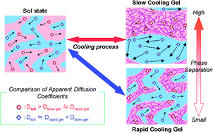 Graphical abstract: Electrochemical elucidation of structural changes in physical organo bicontinuous microemulsion gel systems