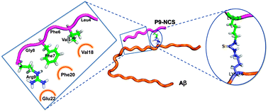 Graphical abstract: A covalently reactive group-modified peptide that specifically reacts with lysine16 in amyloid β