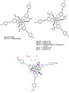 Graphical abstract: Very bright europium complexes that stain cellular mitochondria