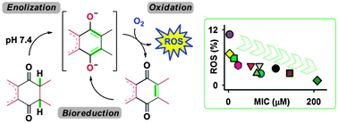 Graphical abstract: Design, synthesis and evaluation of small molecule reactive oxygen species generators as selective Mycobacterium tuberculosis inhibitors