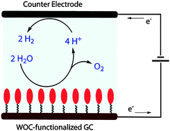 Graphical abstract: Oxygen evolution at functionalized carbon surfaces: a strategy for immobilization of molecular water oxidation catalysts