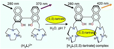 Graphical abstract: A BINOL-based chiral polyammonium receptor for highly enantioselective recognition and fluorescence sensing of (S,S)-tartaric acid in aqueous solution