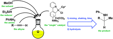 Graphical abstract: Room temperature tandem hydroamination and hydrosilation/protodesilation catalysis by a tricarbonylchromium-bound iridacycle