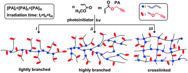 Graphical abstract: A simple route to synthesis of branched and cross-linked polymers with clickable moieties by photopolymerization