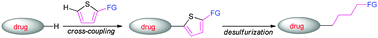 Graphical abstract: An efficient labeling strategy of drug like molecules with functionalized alkyl linkers using CH-activation