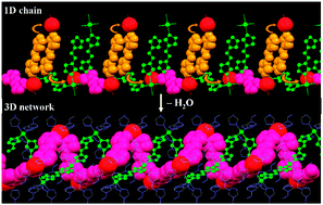 Graphical abstract: Crystal engineering from a 1D chain to a 3D coordination polymer accompanied by a dramatic change in magnetic properties