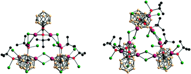 Graphical abstract: Multinuclear palladium(ii) complexes from P–C and P–Cl bond cleavage in (RP,RP/SP,SP)-[PdCl2{1,2-(PtBuCl)2C2B10H10}]