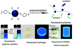 Graphical abstract: A facile and versatile approach to biocompatible “fluorescent polymers” from polymerizable carbon nanodots
