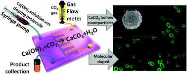 Graphical abstract: Liquid–gas dual phase microfluidic system for biocompatible CaCO3 hollow nanoparticles generation and simultaneous molecule doping