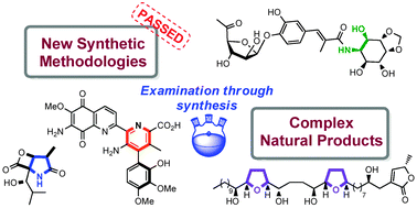 Graphical abstract: Natural product synthesis as a challenging test of newly developed methodology