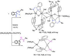 Graphical abstract: Rare-earth metal complexes having an unusual indolyl-1,2-dianion through C–H activation with a novel η1:(μ2–η1:η1) bonding with metals