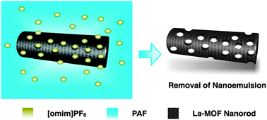 Graphical abstract: Ionic liquid-in-ionic liquid nanoemulsions