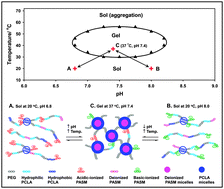 Graphical abstract: Dually cationic and anionic pH/temperature-sensitive injectable hydrogels and potential application as a protein carrier