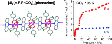 Graphical abstract: CO2 superabsorption in a paddlewheel-type Ru dimer chain compound: gate-open performance dependent on inter-chain interactions