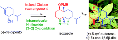 Graphical abstract: An expedient approach to the total synthesis of (+)-5-epi-eudesm-4(15)-ene-1β,6β-diol