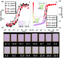 Graphical abstract: Photographing the synergy between magnetic and colour properties in spin crossover material [Fe(NH2trz)3](BF4)2: a temperature sensor perspective