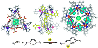 Graphical abstract: Metal–organic container molecules through subcomponent self-assembly