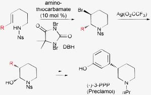 Graphical abstract: Enantioselective synthesis of 2-substituted and 3-substituted piperidines through a bromoaminocyclization process