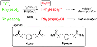 Graphical abstract: Introducing a mixed-valent dirhodium(ii,iii) catalyst with increased stability in C–H amination