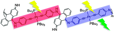 Graphical abstract: Convenient tautomeric forms in an amino-anthraquinone diimine for the generation of a mixed-valent push–pull conjugated polymer