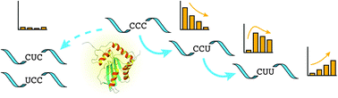 Graphical abstract: Electrochemical direct detection of DNA deamination catalyzed by APOBEC3G