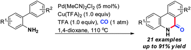 Graphical abstract: Synthesis of phenanthridinones via palladium-catalyzed C(sp2)–H aminocarbonylation of unprotected o-arylanilines