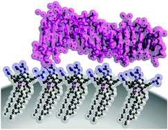Graphical abstract: DNA surface coating of calixarene-based nanoparticles: a sequence-dependent binding mechanism