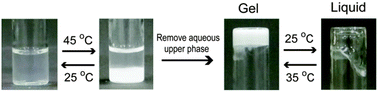Graphical abstract: Ionic liquid-derived charged polymers to show highly thermoresponsive LCST-type transition with water at desired temperatures