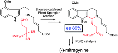 Graphical abstract: Total syntheses of mitragynine, paynantheine and speciogynine via an enantioselective thiourea-catalysed Pictet–Spengler reaction