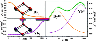 Graphical abstract: Relaxations in heterolanthanide dinuclear single-molecule magnets