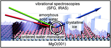 Graphical abstract: Vibrational spectroscopic observation of ice dewetting on MgO(001)