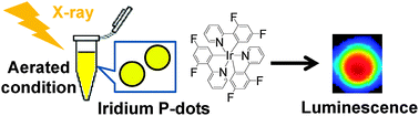 Graphical abstract: X-ray excitable luminescent polymer dots doped with an iridium(iii) complex