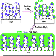 Graphical abstract: In situ room temperature synthesis of a polyaniline–gold–titanium(iv) dioxide heteronanojunction system