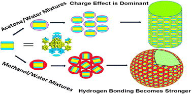 Graphical abstract: The self-assembly of a macroion with anisotropic surface charge density distribution