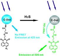 Graphical abstract: Carbon-dot-based ratiometric fluorescent sensor for detecting hydrogen sulfide in aqueous media and inside live cells