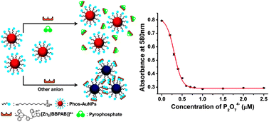 Graphical abstract: A highly sensitive gold nanoparticle-based colorimetric probe for pyrophosphate using a competition assay approach
