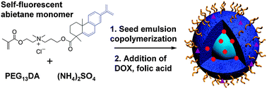 Graphical abstract: Multifunctional self-fluorescent polymer nanogels for label-free imaging and drug delivery