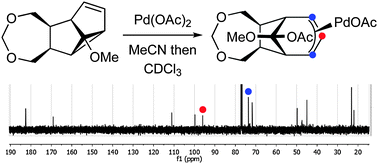 Graphical abstract: Confirming the existence of π-allyl-palladium intermediates during the reaction of meta photocycloadducts with palladium(ii) compounds