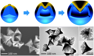 Graphical abstract: Ultrasound assisted interfacial synthesis of gold nanocones